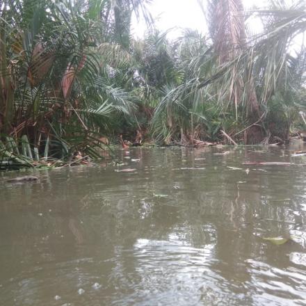 Pembersihan Sungai Desa Limamar